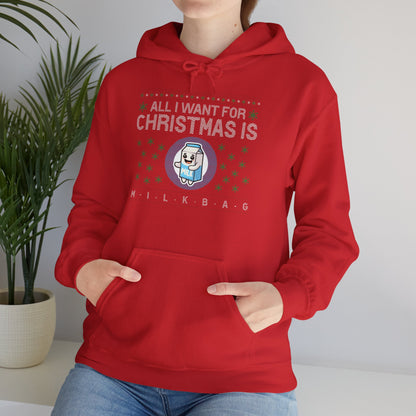 All I want for Christmas Hoodie