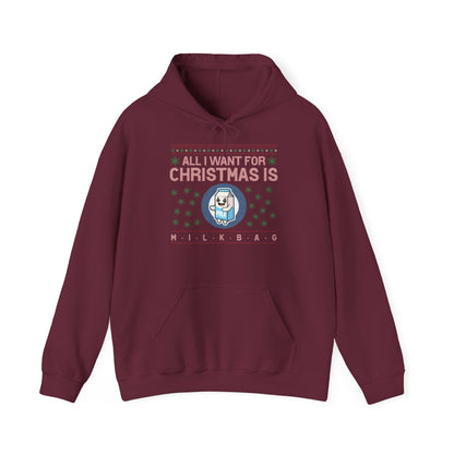 All I want for Christmas Hoodie